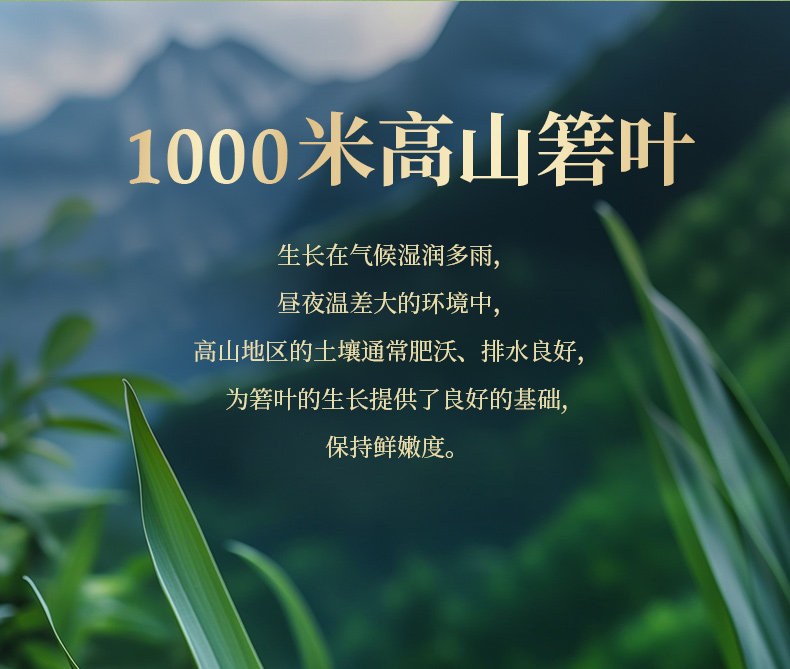鲜品屋传统粽子礼盒520g鲜品珍粽4粽4味端午节礼品，团购优惠