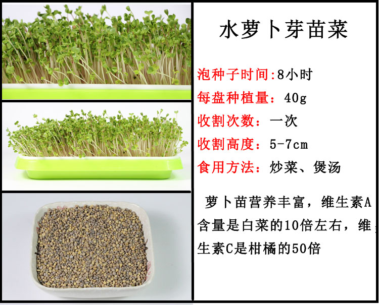 芽苗菜の種もやし菜種大豆落花生小麦草大根エンドウ豆香椿空心菜オクラ野菜の種,タオバオ代行-チャイナトレーディング