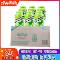Green Arrow Chewing Gum Whole Box 36 40 40 Grain 64g Mint Taste Bottled Fresh Breath Cool Candy Tablet Snacks