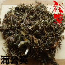 Dandelion 500g dandelion tea wild dandelion