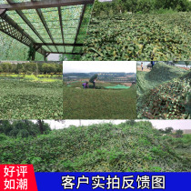 Camouflage shade sun insulation net anti-aging anti-anti-anti-anti-anti-anti-anti-anti-anti-counterfeiting and sun-proof double fans