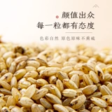 Qianyuan № 1 Ченпи имбирный рис -рис чай настоящий жареный чай с жареным чаем, трясь имбиря имбиря имбиря имбиря имбиря имбиря Джинджи