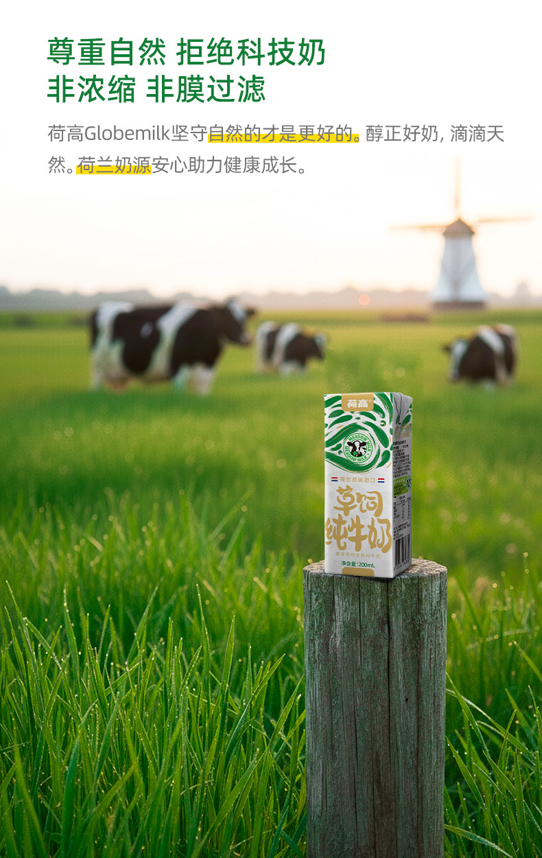 安享好物 安享B级纯奶-荷高草饲纯牛奶  