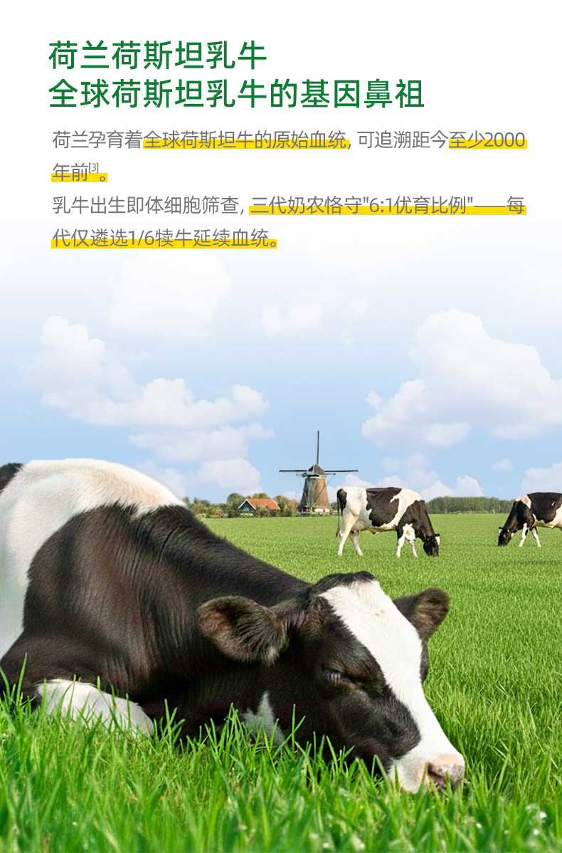 安享好物 安享B级纯奶-荷高草饲纯牛奶  