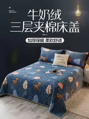Coral blanket quilt winter thick double layer plus velvet bed flannel sheet man plush mat bed warm blanket