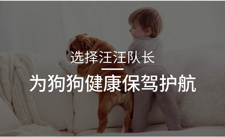 Thức ăn cho chó Phổ quát Teddy VIP Kokibi Bear Golden Retriever 10 Chó con cỡ nhỏ và trung bình Chó trưởng thành 5 jin Thịt bò chiến đấu Thực phẩm - Chó Staples