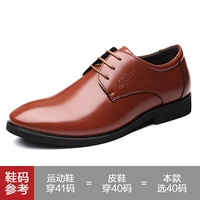 529/Браун