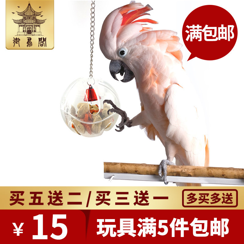 Pet Bird Toys Food Box Foraging Ball Foraging Toys Parrot Forager Feeding Toys Parrot Toys