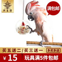 Pet Bird Toy Food Box Foraging Ball Foraging Toy Parrot Forager To Fetch Toy Parrot Toys
