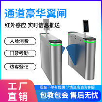 Cloud cartoon wing gate pedestrian passage gate community office building school scenic spot face recognition access gate