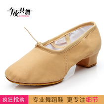 Dance shoelaces with national dance shoes Belly dance national dance women soft-soled practice shoes Adult teacher shoes canvas