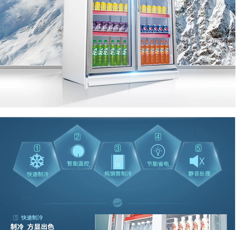 绅宝 XY09L2F tủ trưng bày đồ uống tủ đông hai cánh tủ lạnh dọc tủ hoa tươi và tủ trái cây làm mát bằng không khí tủ kem nhỏ