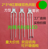 Highlight square LED lamp beads 2*3*4 red emerald green two color fog co Yang led luminous tube 234 red and green two color