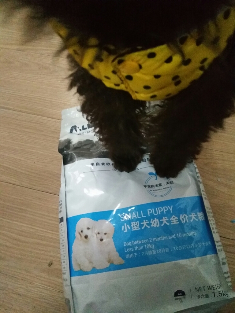 春节期间到货Aller狗粮,避免了断粮危机_宝贝狗 春节期间到货Aller狗粮,避免了断粮危机