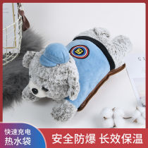 Warm water bag female plush cute rechargeable explosion-proof hot water bag cartoon removable hand warm baby warm