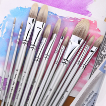 South Korea HWAHONG Huahong 866 model series oval head stone pelican hair oil painting pen Watercolor acrylic brush cat mane mixed brush