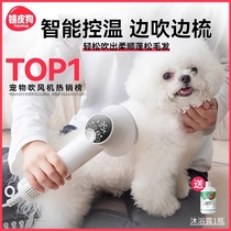 (Lotte) Pet hair dryer Lairy all-in-one pooch Bath Blown God Instrumental Cat Comb Fur Teddy Mini Dog