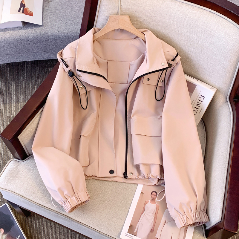 Casual Jacket for Women 2024 New Spring and Autumn Popular Style Petite Early Autumn Short Workwear Jacket