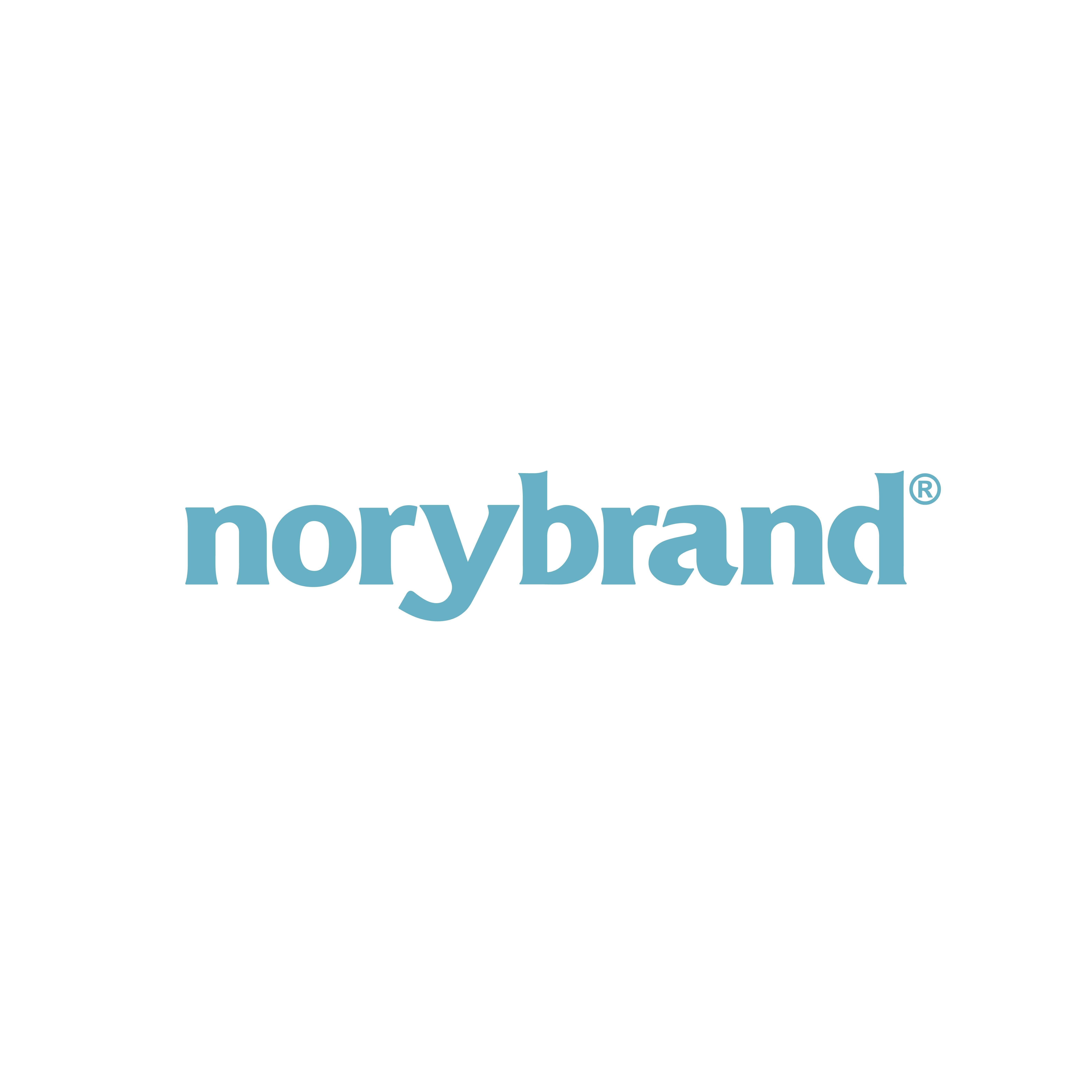 NORYBRAND的LOGO
