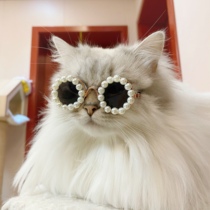 New Products Pet Funny Cat Glasses Pooch Pearls Kitty teddy Panda Photo Prop Ornament