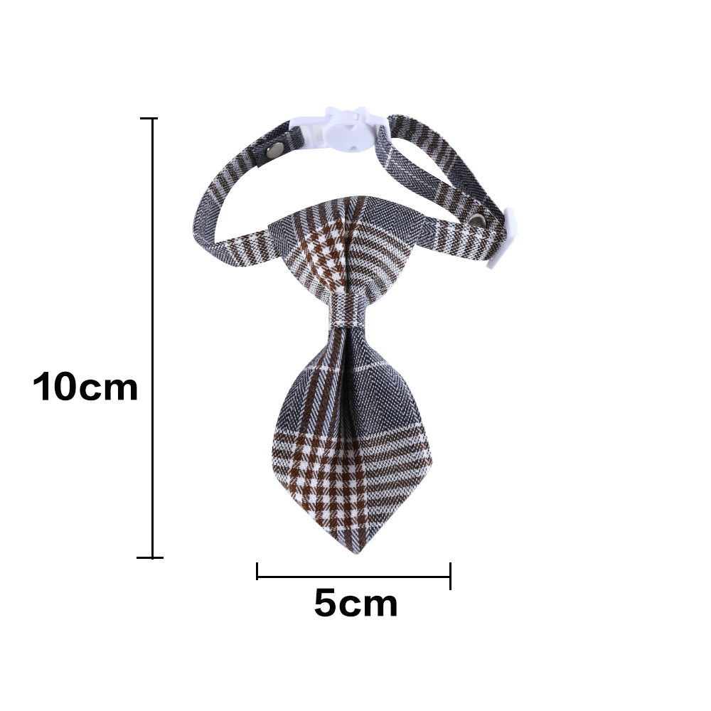 QQ Picture 20220220110409