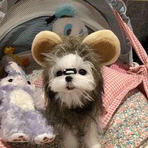 Pet cat lion hat Malzis dog transformation funny cute dress up headdress Hair accessories Lion hat