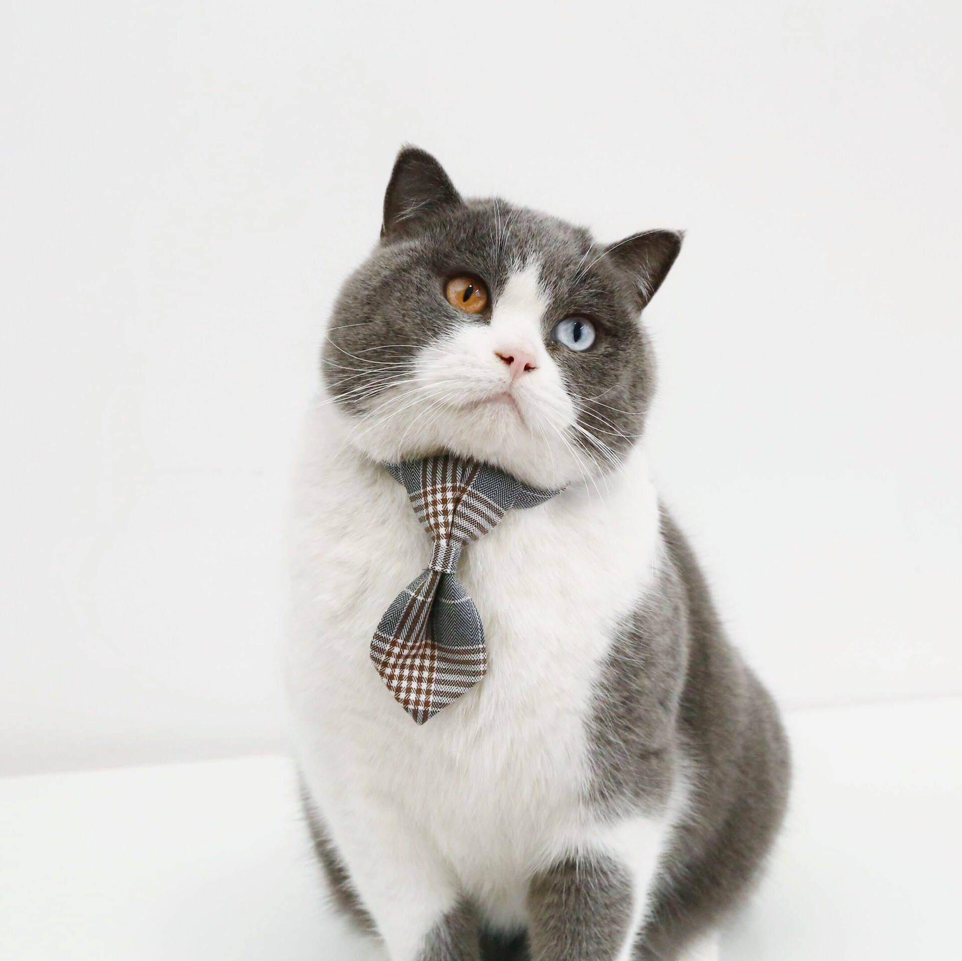 QQ Picture 20220220111534