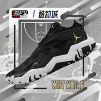 JORDAN ПОЧЕМУ НЕ .6 Westbrook 6 Черно-белые мужские баскетбольные кроссовки DO7190/DO7189