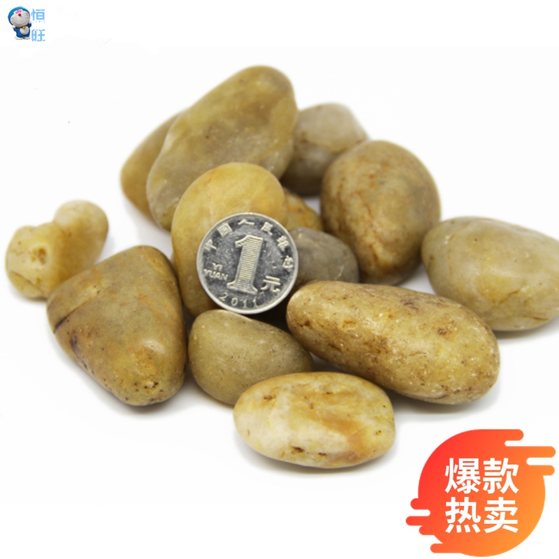 Moss micro-landscape landscaping large sand river stone aquarium decoration natural river sand succulent pebbles ornaments 80g