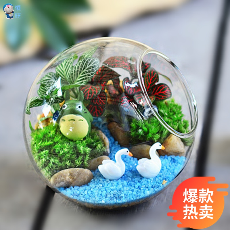 Moss Microscape Glass Vases Micro Landscape Potted Moss Plant Pitched Bottle Craft Gift Pendulum for Dragon Cat and Swan