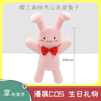 Постоянная модель (Департамент по связям с общественностью Университета Сакуралана)