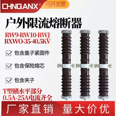 RW9 RW10 RXWO-35KV 0 5-1-2-10A Ceramic PT protection high voltage current limiting fuse 40 5KV