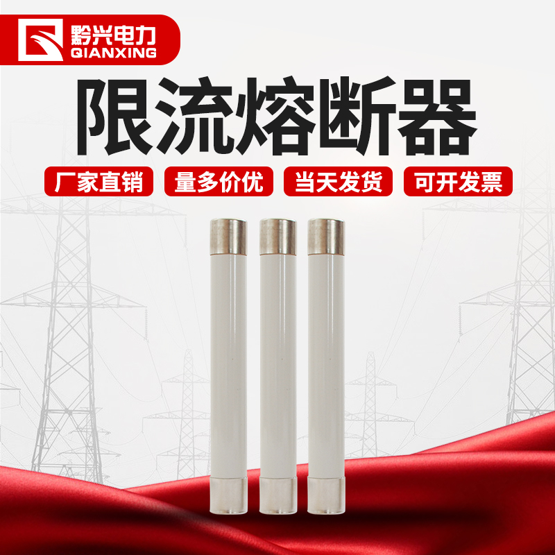 High-voltage XRNP1-10 0.5-1A-2A-3.15 flow-limit fuse PT converter insurance tube white ceramic
