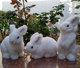 Simulated rabbit animal doll children's plush toy rabbit static animal model white rabbit gray rabbit doll