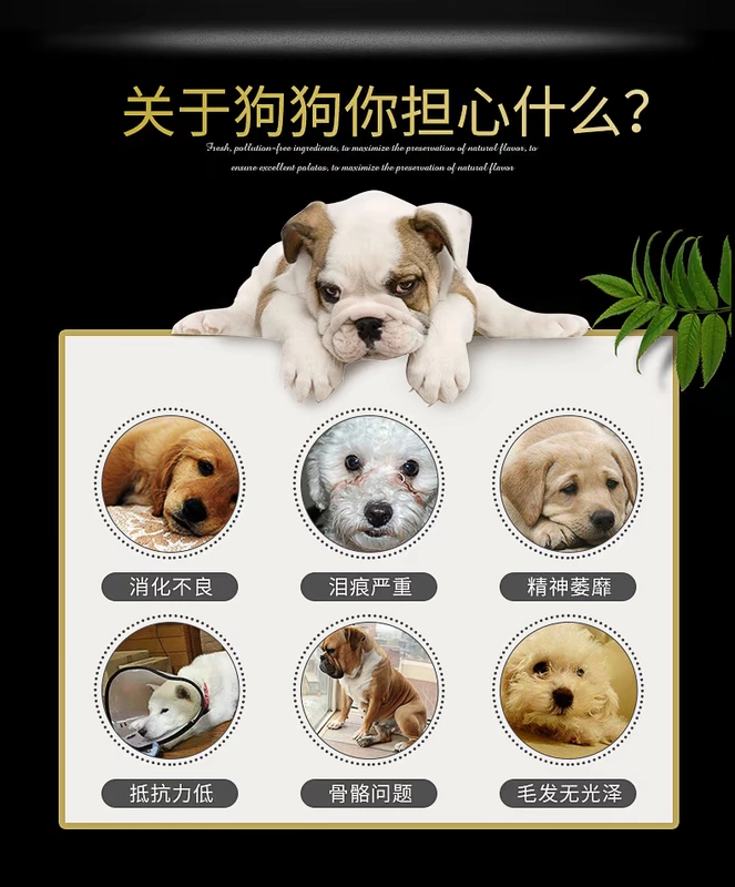 Thức ăn cho chó trưởng thành Thức ăn cho chó cưng đa năng thức ăn chủ yếu là gấu Teddy Xiongbomeijinmao pate cho chó con