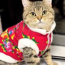 猫咪衣服冬季保暖猫猫狗狗宠物东北大花袄无毛猫德文小猫秋冬装款