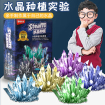 Children Crystal Cultivation Scientific Experiment Handmade Diy to développe Crystal Students Puzzle Novelty Cultivation Toys