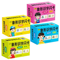 A complete set of pictographic literacy flash cards for 3-4-6-year-old babies and children literacy enlightenment cognitive early education thinking educational toys