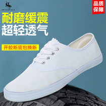 White shoes womens shoes 2024 new hot style male students sports and leisure sneakers white sneakers canvas shoes indoor