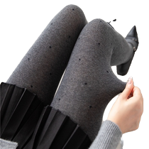 Polka dot gray leggings for women 2024 autumn and winter new style thickened warm combed cotton Korean style can be worn outside pantyhose