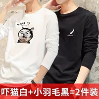 Напуганная кошка белая+маленькие перья черные