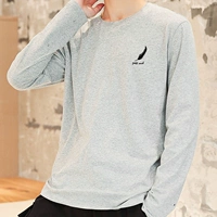 Маленькие перья серые