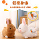 Rabbit Talking Electricing Plush Toy Baby Doll Little White Rabbit Singing and Dancing Doll ເດັກຊາຍ ແລະເດັກຍິງ