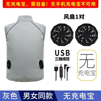 Серый сокровище