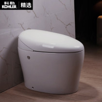 Kohler smart toilet integrated fully automatic household toilet instant hot remote control flap electric Flushing 4026T