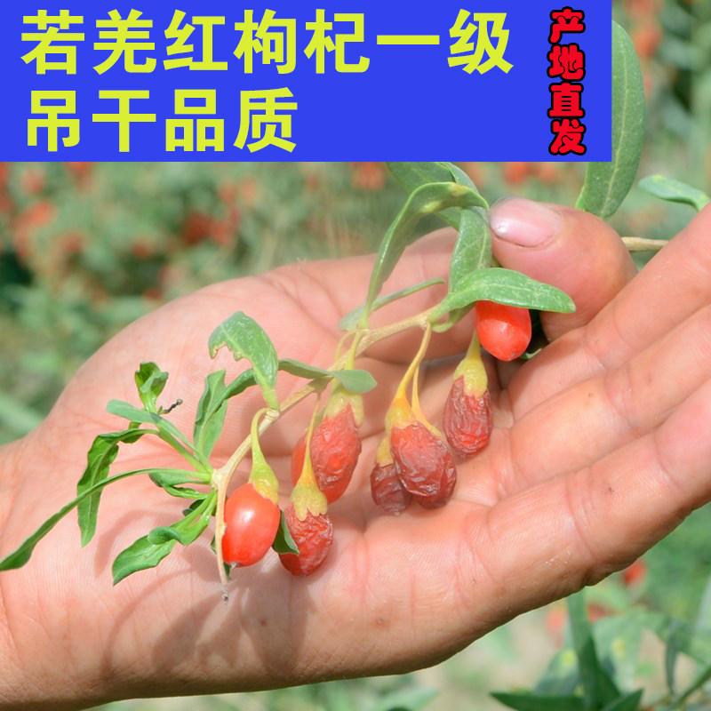 2021 New Red Wolfberry First-class Authentic Xinjiang if Qiangqian to eat ready-to-eat ready-to-eat no, no male kidney