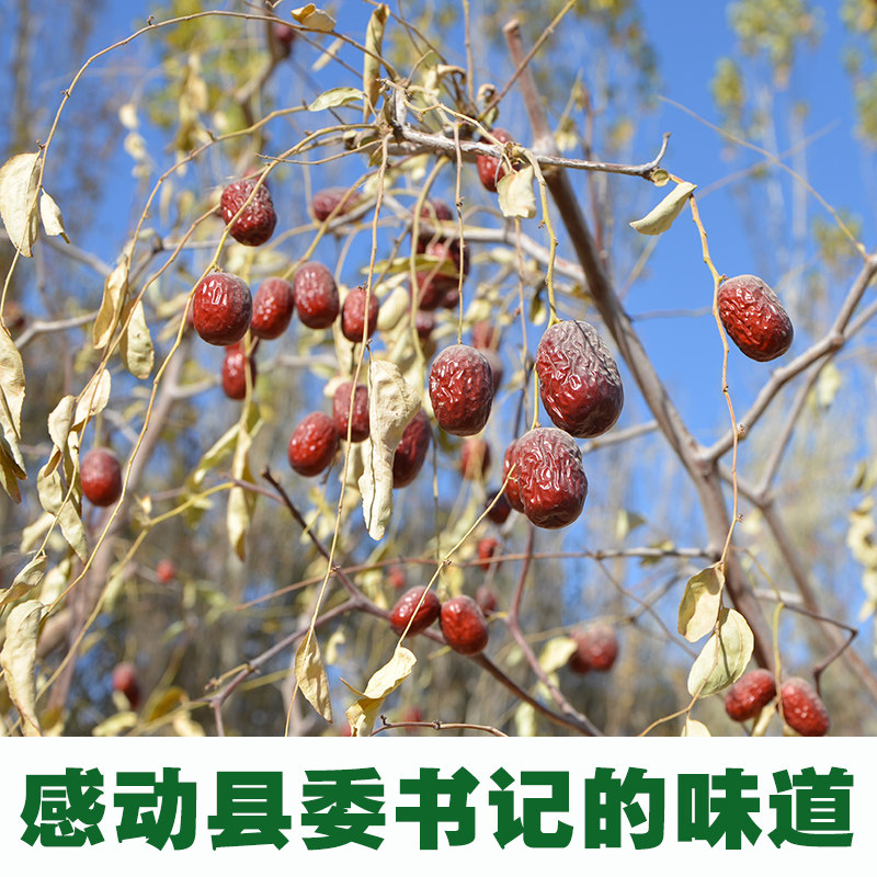Xinjiang Ruoqiang Grade 3 small ash date 500 gr Organic first Heart Date Country of origin Straight hair No washing No Add to