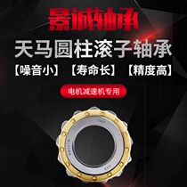 Original Tianma TMB cylindrical roller bearing RN204M205 206 207 208 209 210 Factory direct sales