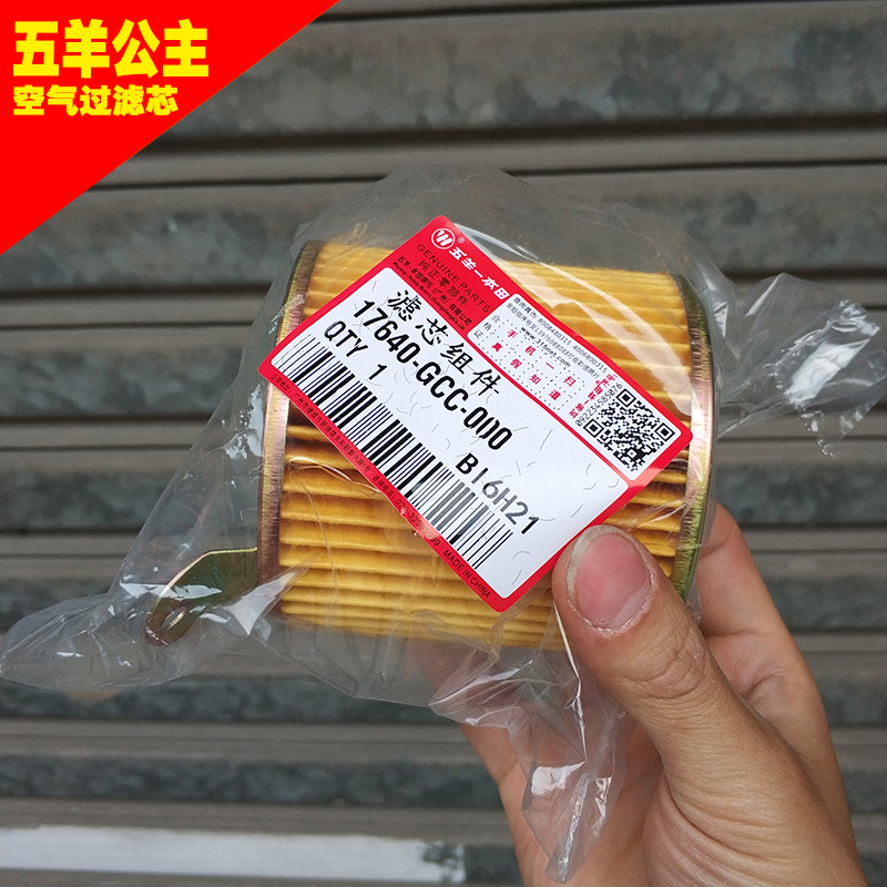 Locomotive Little Princess WH100T-A-H-G-F Delight Air Filter Cartridge Air Filter filter