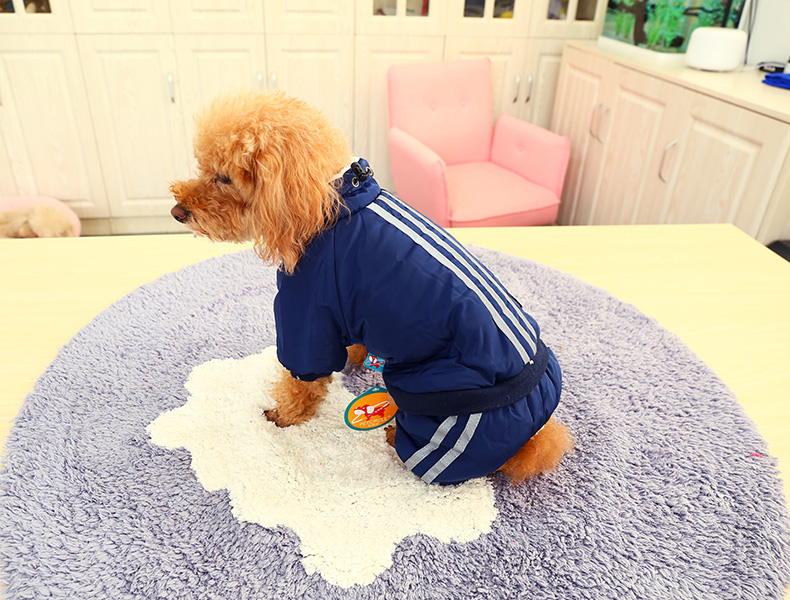 PETCIRCLE quần áo chó Teddy luật chiến đấu Bomei mèo mùa thu quần áo thú cưng đội trưởng đội áo khoác - Quần áo & phụ kiện thú cưng quần áo thú cưng